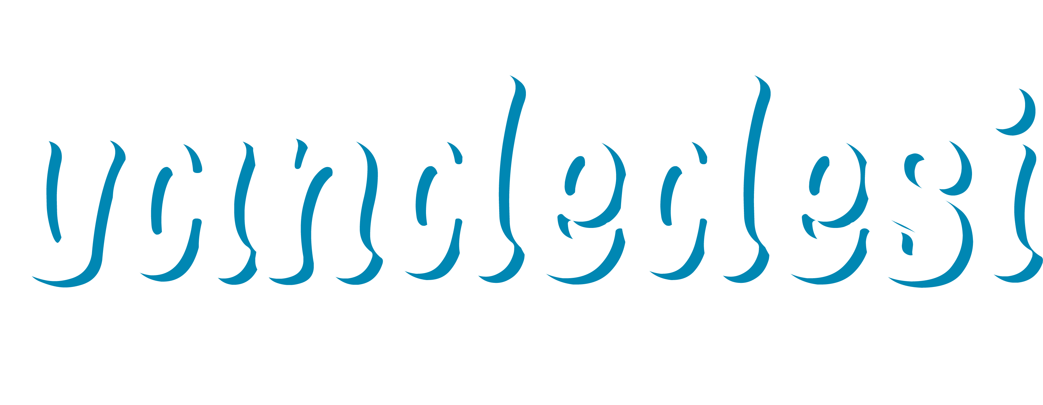 Van Dedesi logo
